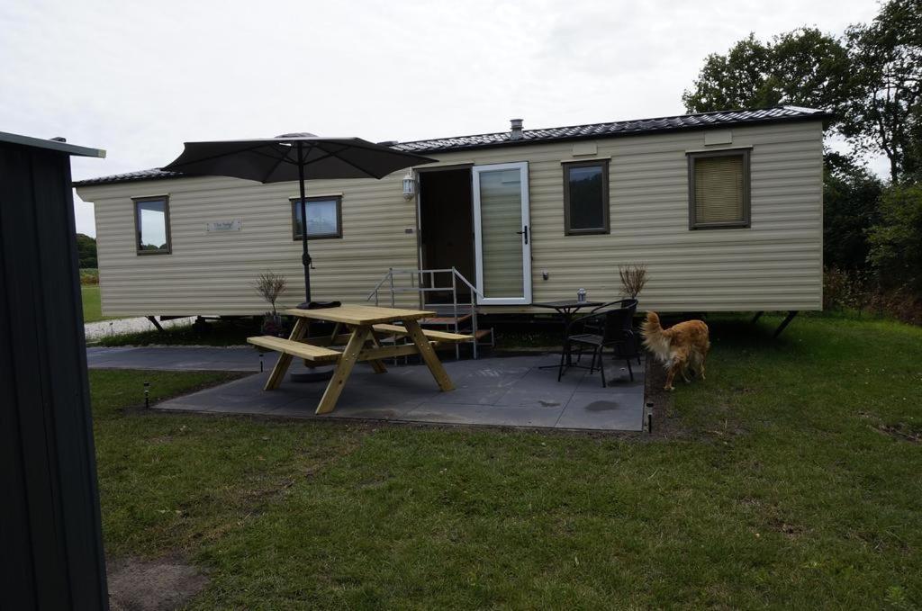 Weerribben Chalets Hotell Paasloo Exteriör bild